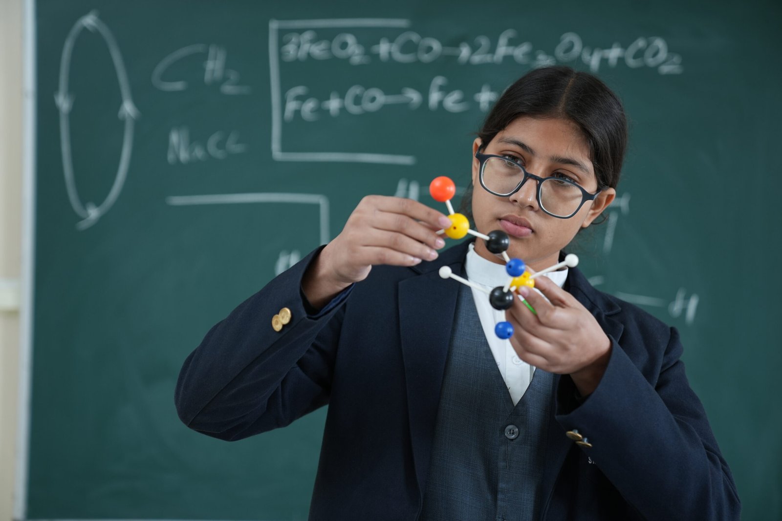 st francis world school