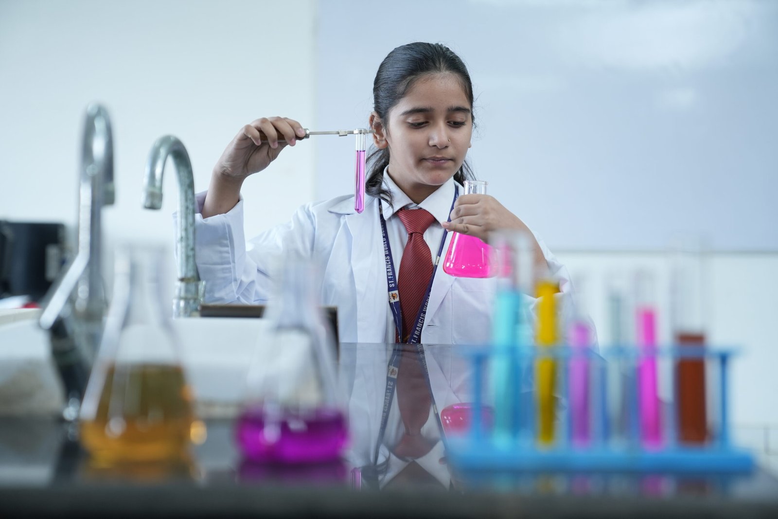 st francis world school