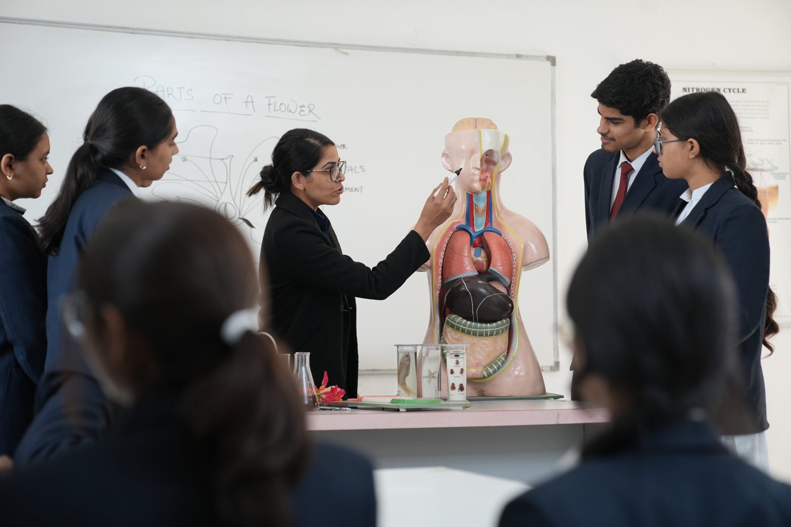 st francis world school