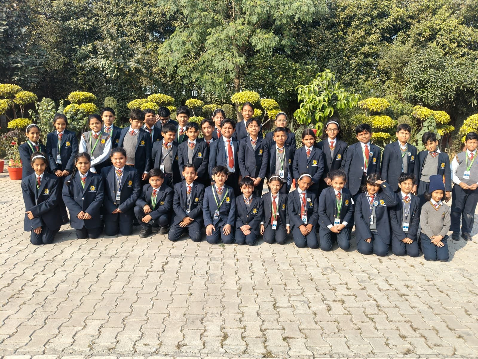 st francis world school